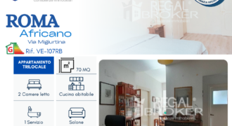 Roma Africano, comodo trilocale