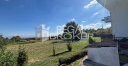 Castelnuovo di Porto, licenza Bar/tabaccheria e mura